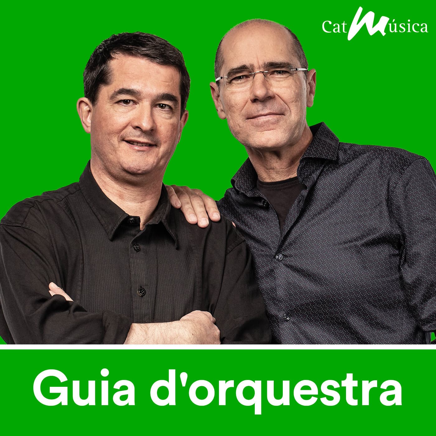 Guia d'orquestra cover