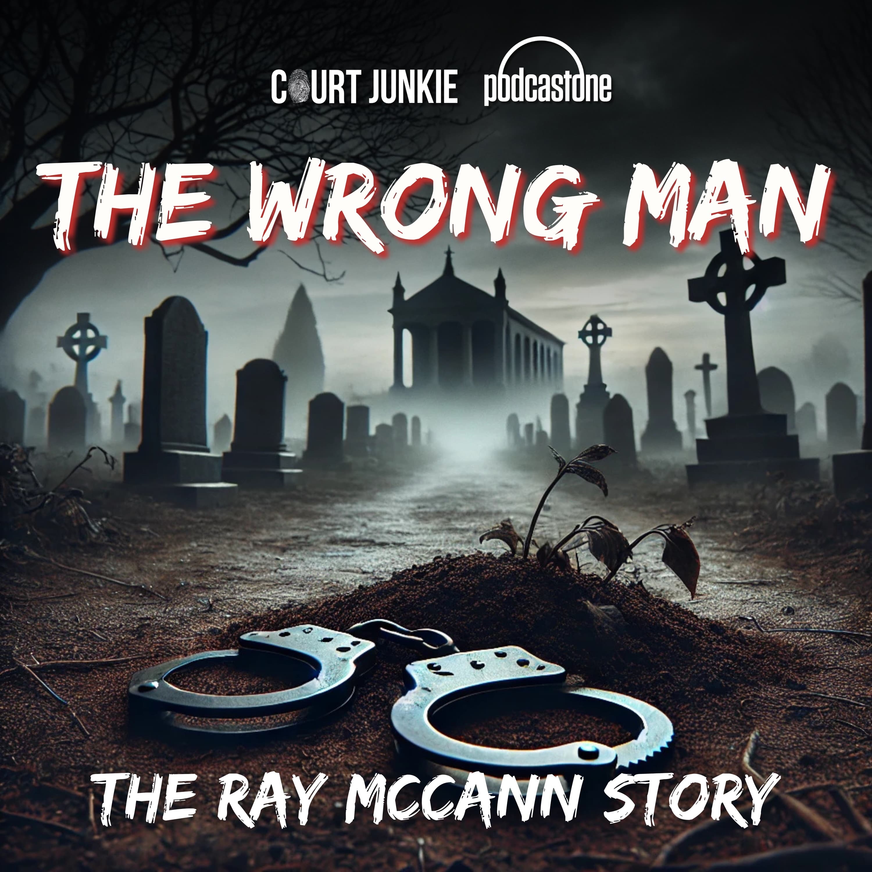 Ep 285: The Wrong Man: The Ray McCann Story (Part 2) - Court Junkie cover