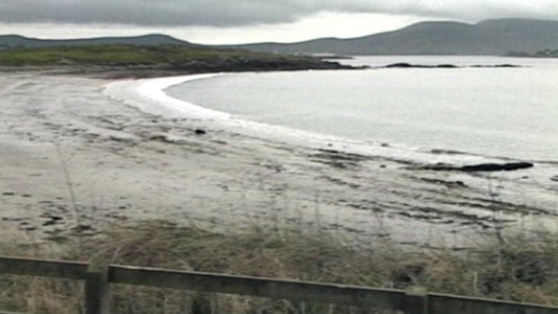 Fresh developments in Kerry Babies case - This Week cover