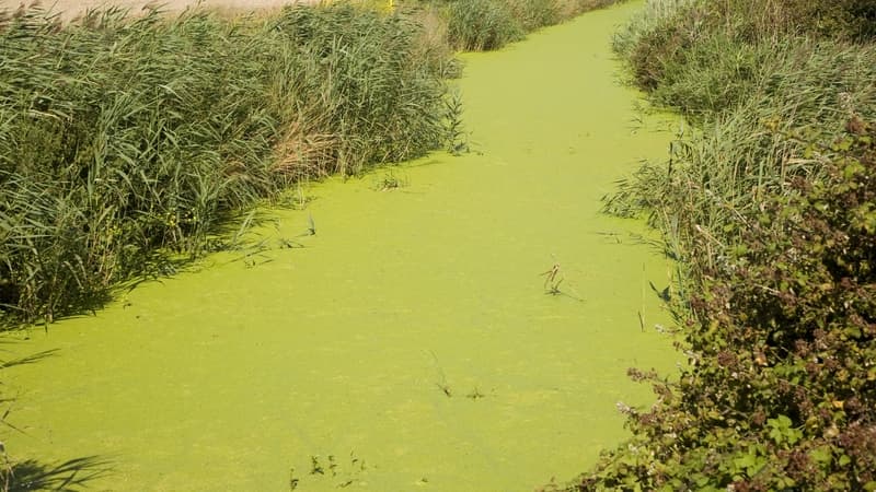 Ireland’s best and least-explored lagoons - Today with Claire Byrne cover