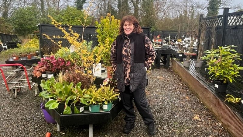 Spring is on the way - This Week cover