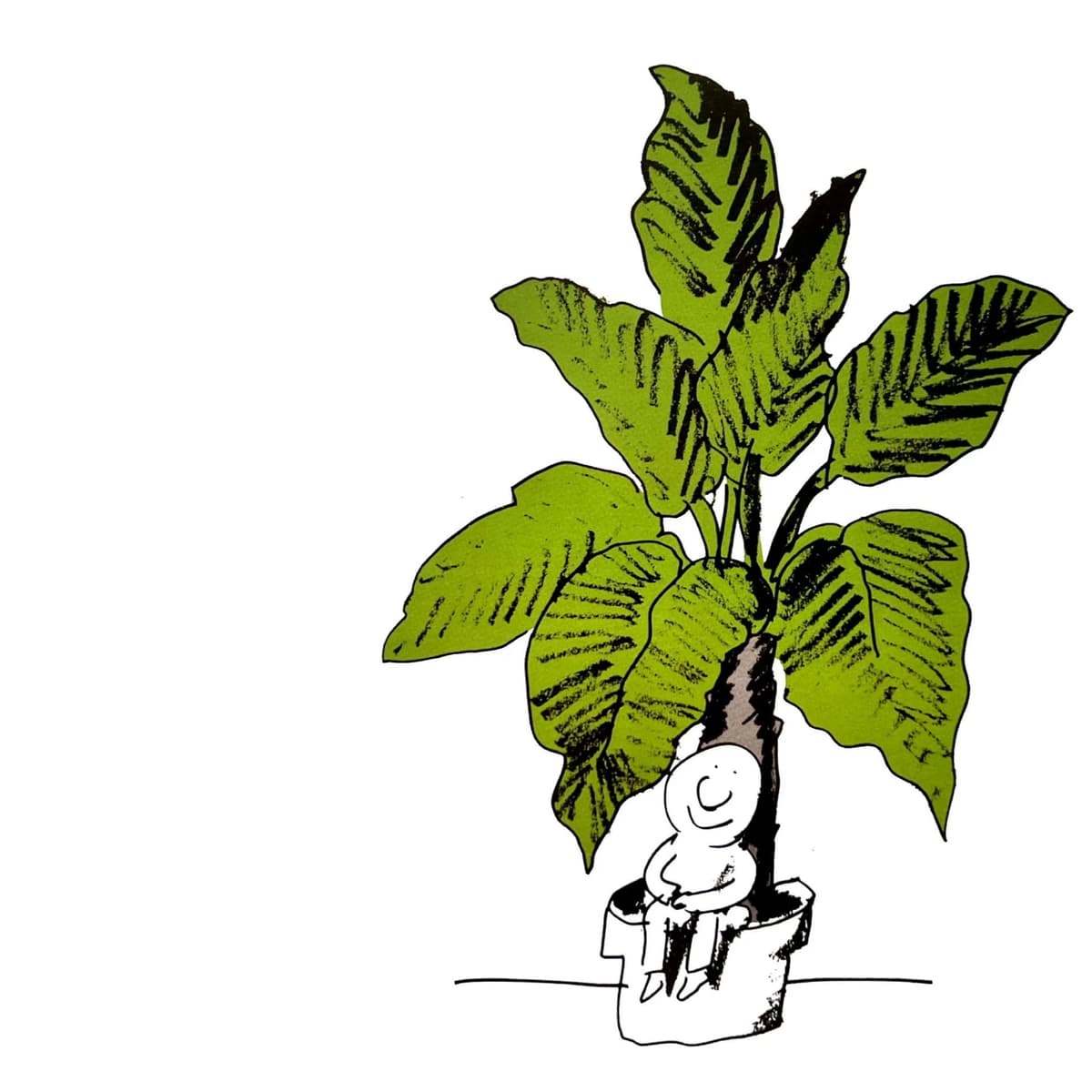 Amordiscos - En el jardín - Amordiscos cover