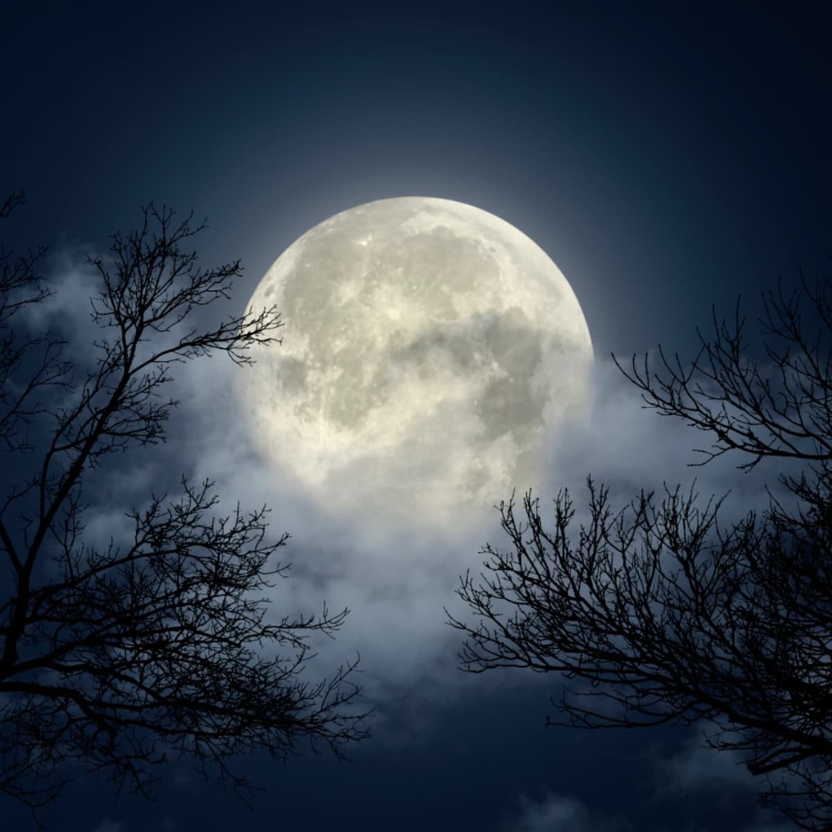 Documentos RNE - La Luna. Sol en la oscuridad - 09/02/26 - Documentos RNE cover