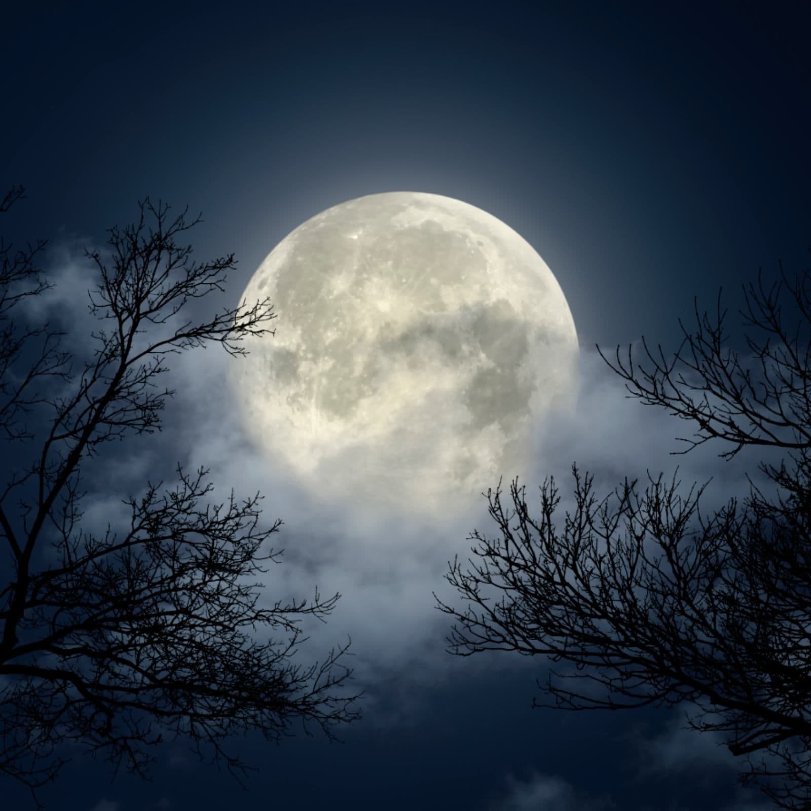 Documentos RNE - La Luna. Sol en la oscuridad - 09/02/26 - Documentos RNE cover