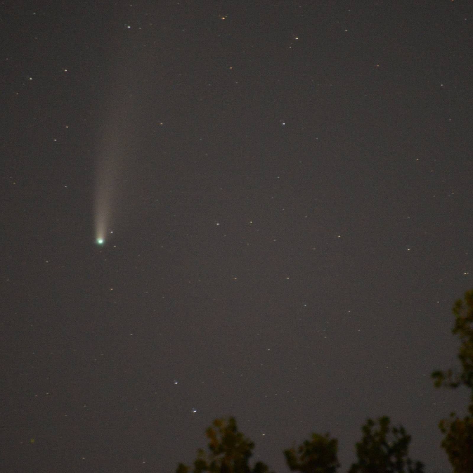 Espacio en blanco - Haití y los zombies - 08/02/26 - Espacio en blanco cover