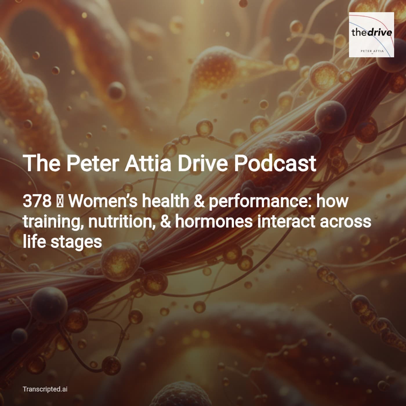 Training, Nutrition & Hormones Across Life — The Peter Attia Drive Podcast (5‑min) - AI Podcast Summaries from Transcripted.ai (VIDEO) cover
