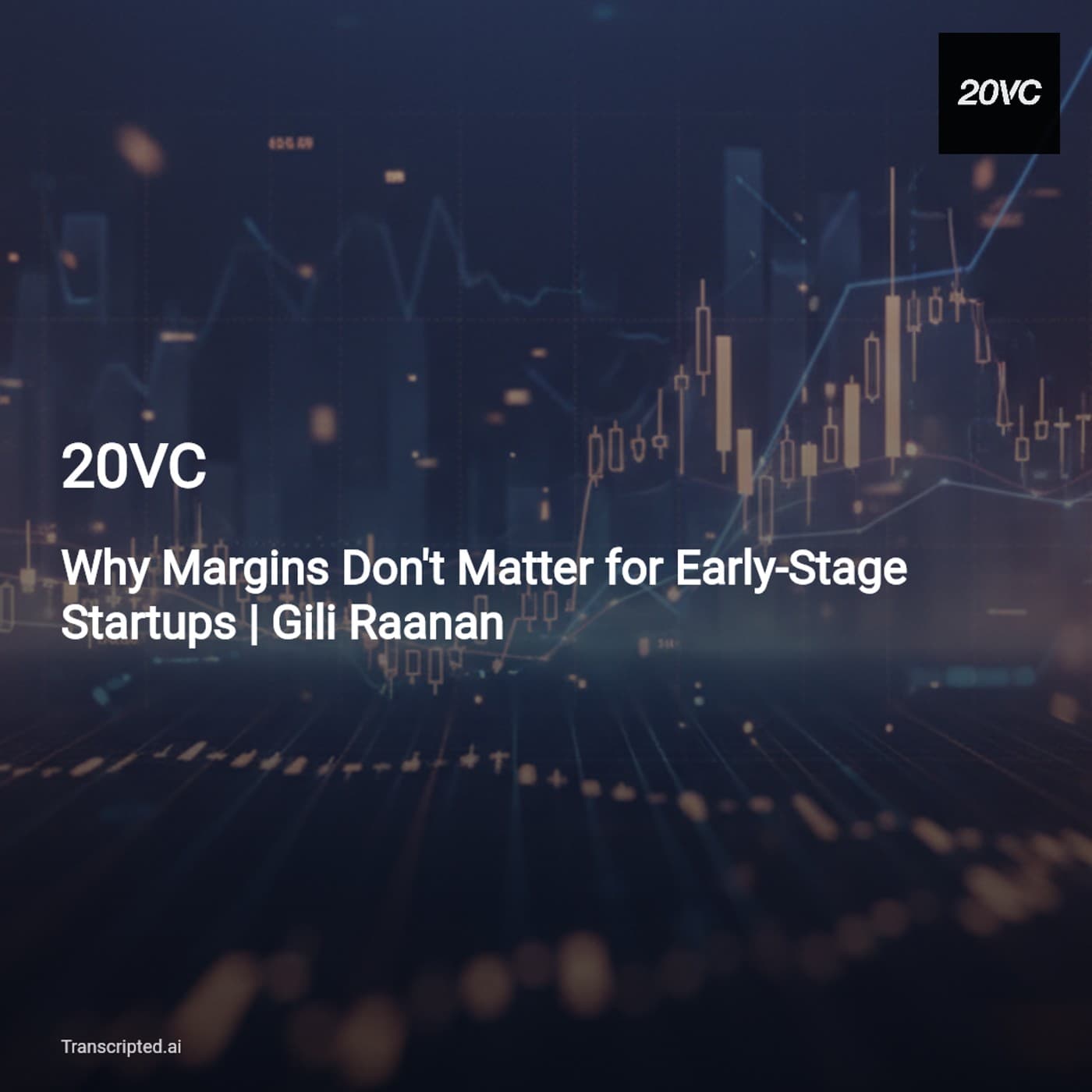 Margins Don't Matter — 20VC: Why Velocity Beats Profitability (Harry Stebbings & Gili Raanan) - AI Podcast Summaries from Transcripted.ai (VIDEO) cover
