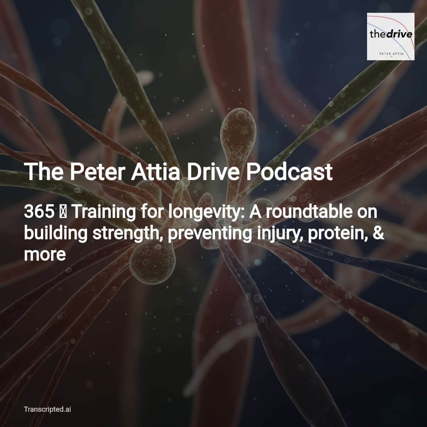 Train for Longevity — The Peter Attia Drive Podcast (9‑min roundtable) - AI Podcast Summaries from Transcripted.ai (VIDEO) cover