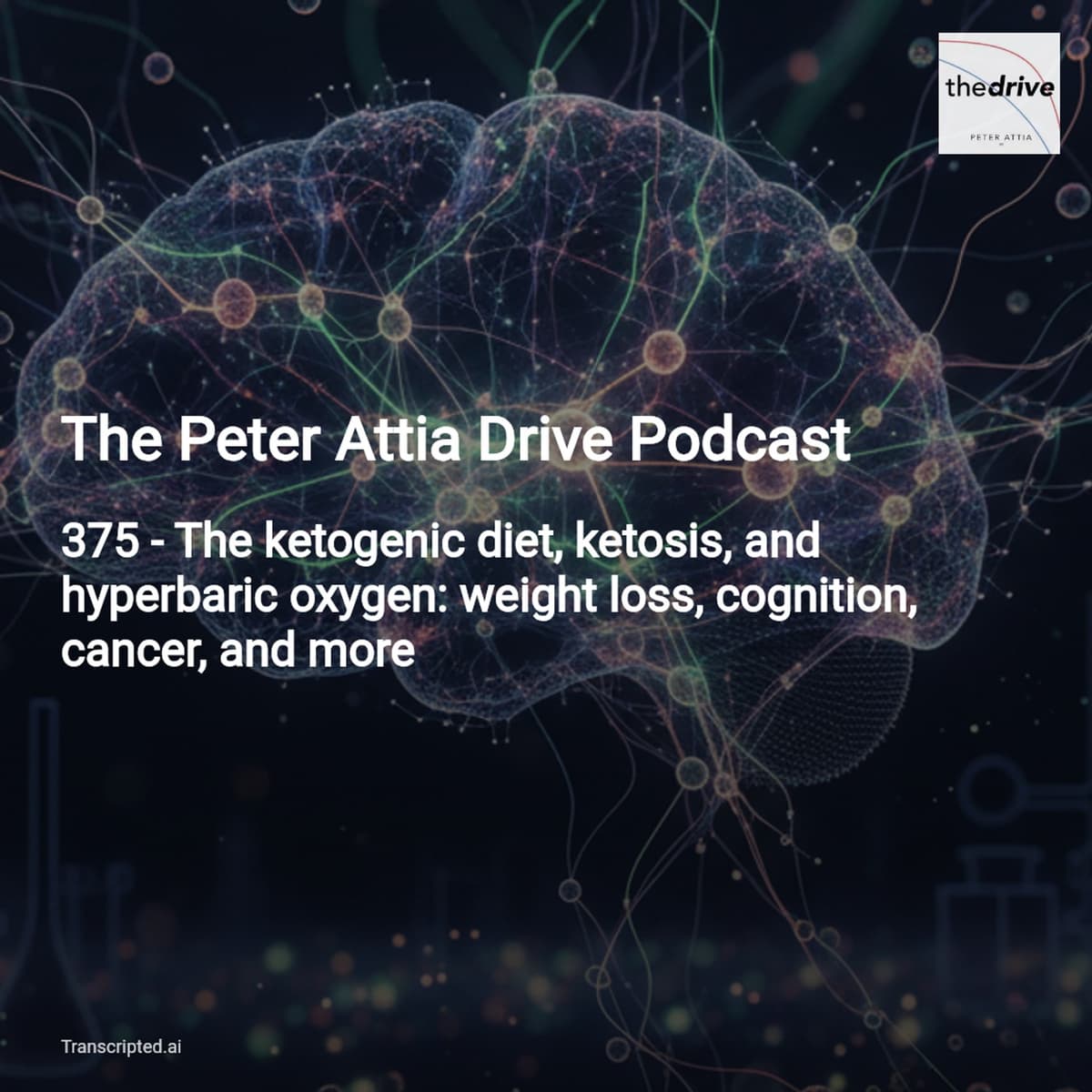 Ketosis, Hyperbarics & Therapeutic Dosing — The Peter Attia Drive (Condensed) - AI Podcast Summaries from Transcripted.ai (VIDEO) cover