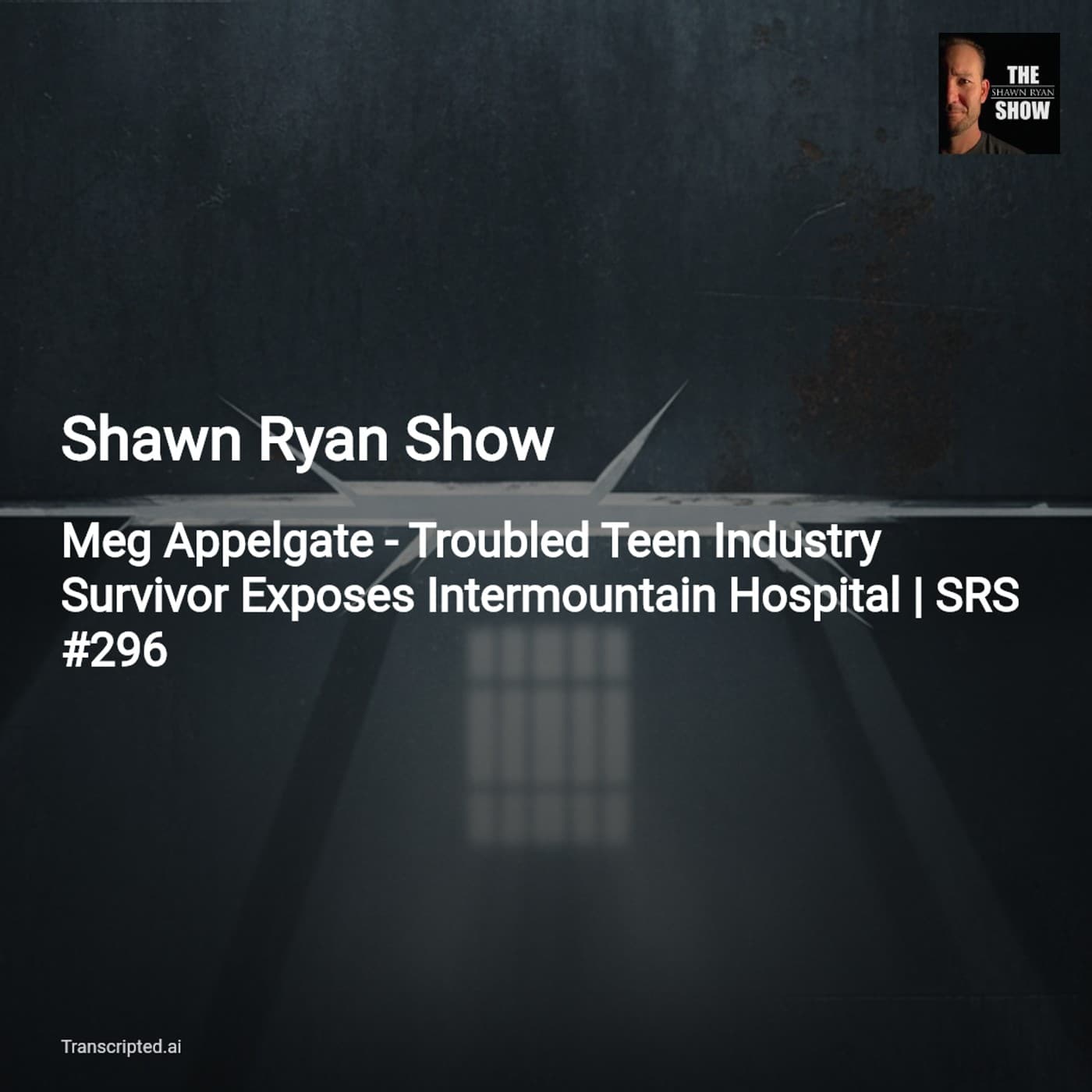 Inside the Troubled Teen Industry — Shawn Ryan Show (Condensed with Meg Appelgate) - AI Podcast Summaries from Transcripted.ai (VIDEO) cover