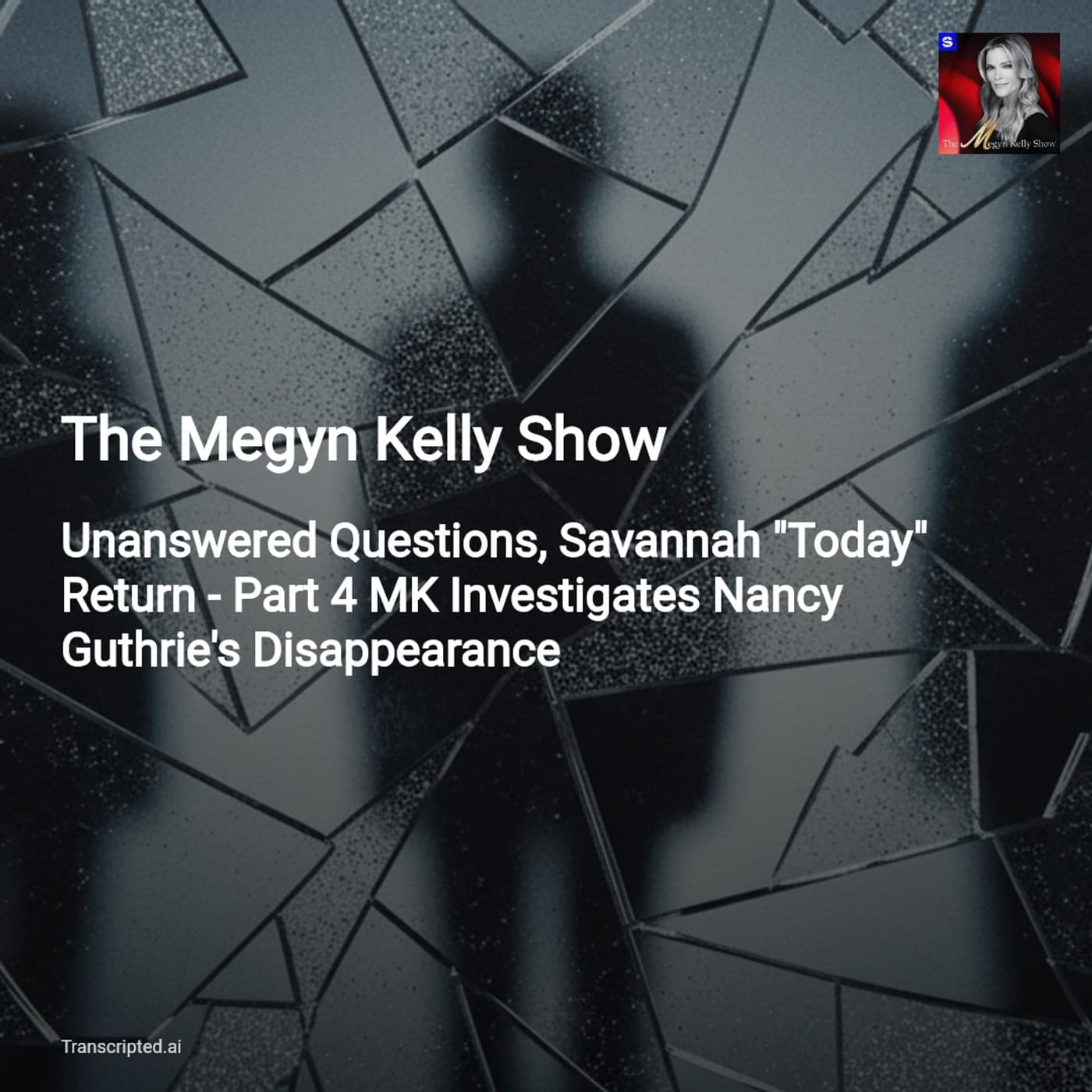 MK Investigates: Nancy Guthrie Disappearance — The Megyn Kelly Show (Condensed) — AI Podcast Summaries from Transcripted.ai (VIDEO) cover