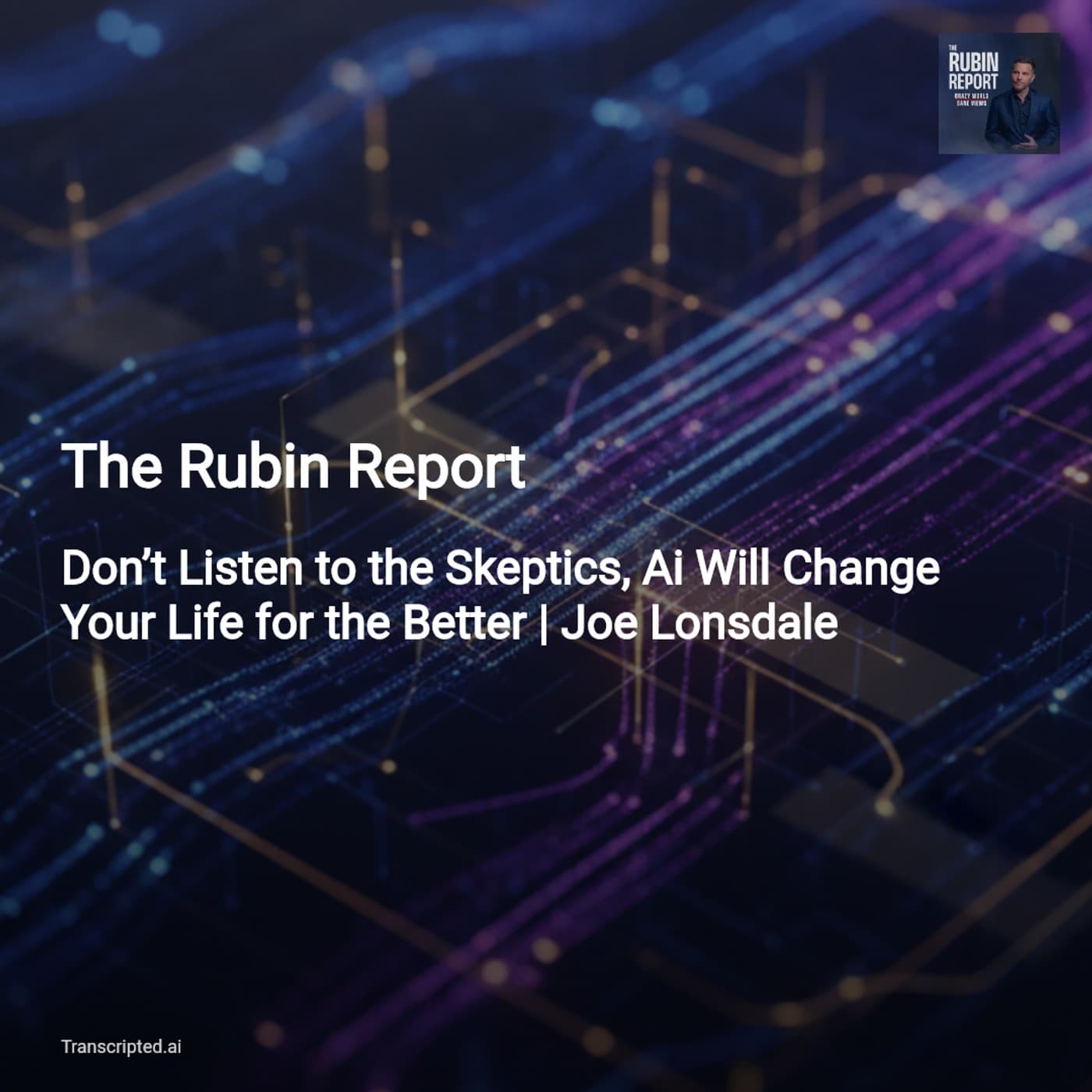 AI Will Boost Your Life — The Rubin Report (Joe Lonsdale) - AI Podcast Summaries from Transcripted.ai (VIDEO) cover