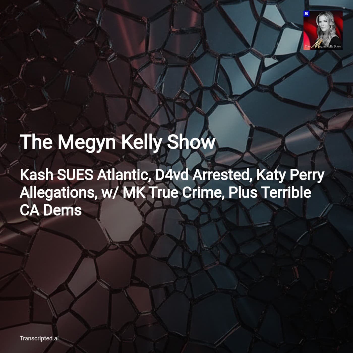 Politics, Crime, and Scandal — The Megyn Kelly Show (Condensed) — AI Podcast Summaries from Transcripted.ai (VIDEO) cover