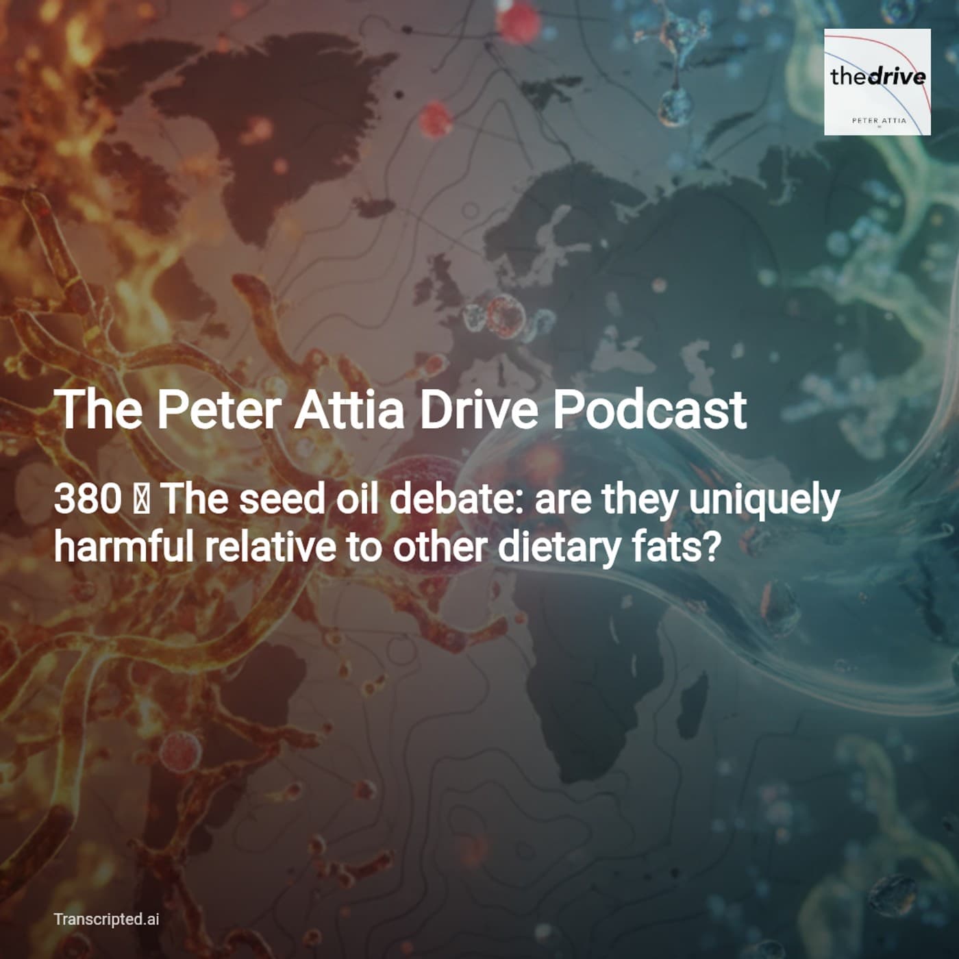 Seed Oils, LDL, and the Evidence: The Peter Attia Drive Podcast (Condensed) - AI Podcast Summaries from Transcripted.ai (VIDEO) cover
