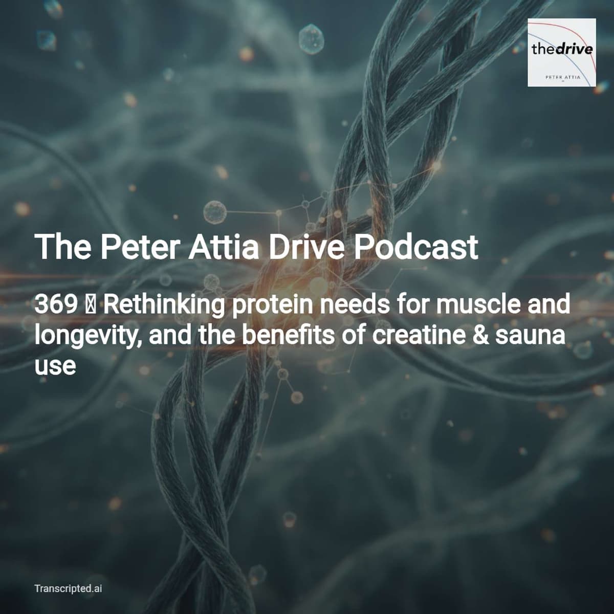 Protein, Creatine & Sauna: Key Takeaways — The Peter Attia Drive - AI Podcast Summaries from Transcripted.ai (VIDEO) cover