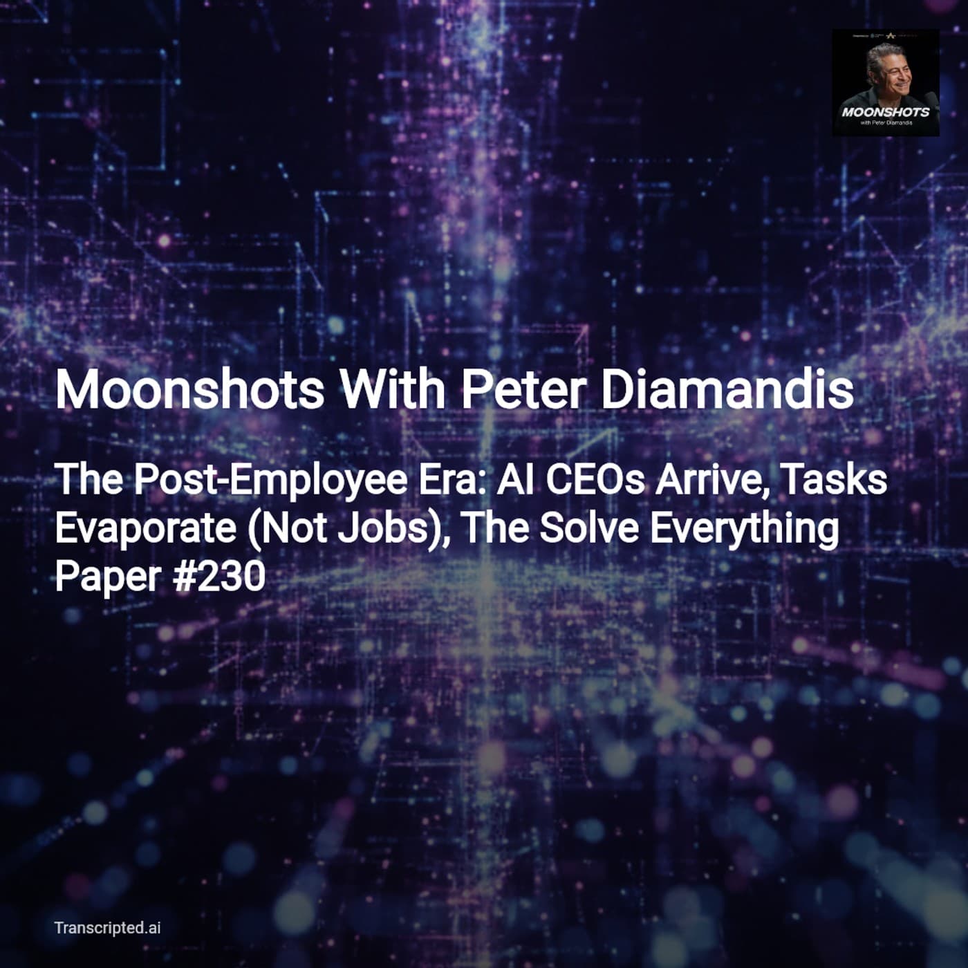 AI CEOs & the Solve Everything Manifesto — Moonshots With Peter Diamandis - AI Podcast Summaries from Transcripted.ai (VIDEO) cover