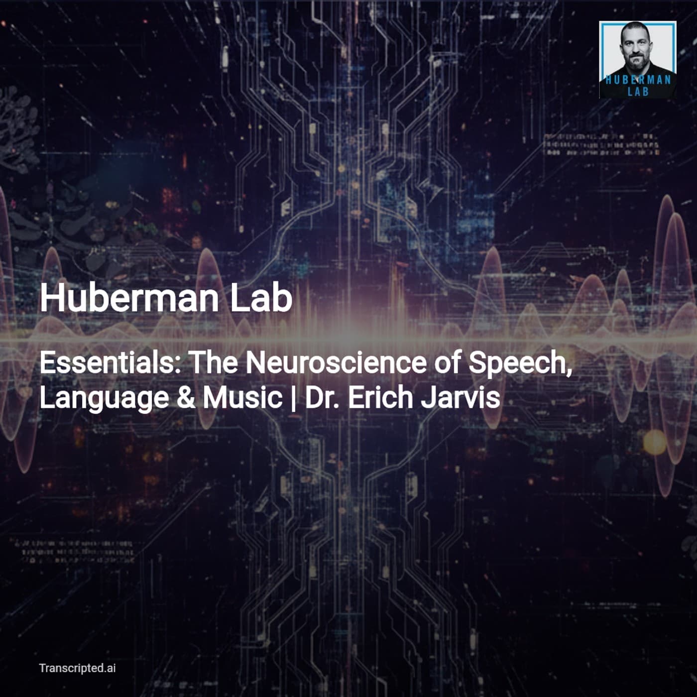 How Speech, Music & Gesture Wire the Brain — Huberman Lab (with Dr. Erich Jarvis) - AI Podcast Summaries from Transcripted.ai (VIDEO) cover