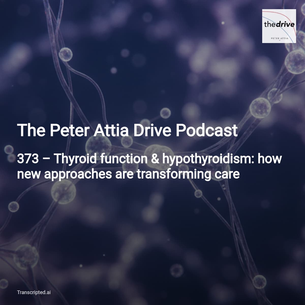 Thyroid complexity decoded — The Peter Attia Drive Podcast (6‑min summary) - AI Podcast Summaries from Transcripted.ai (VIDEO) cover