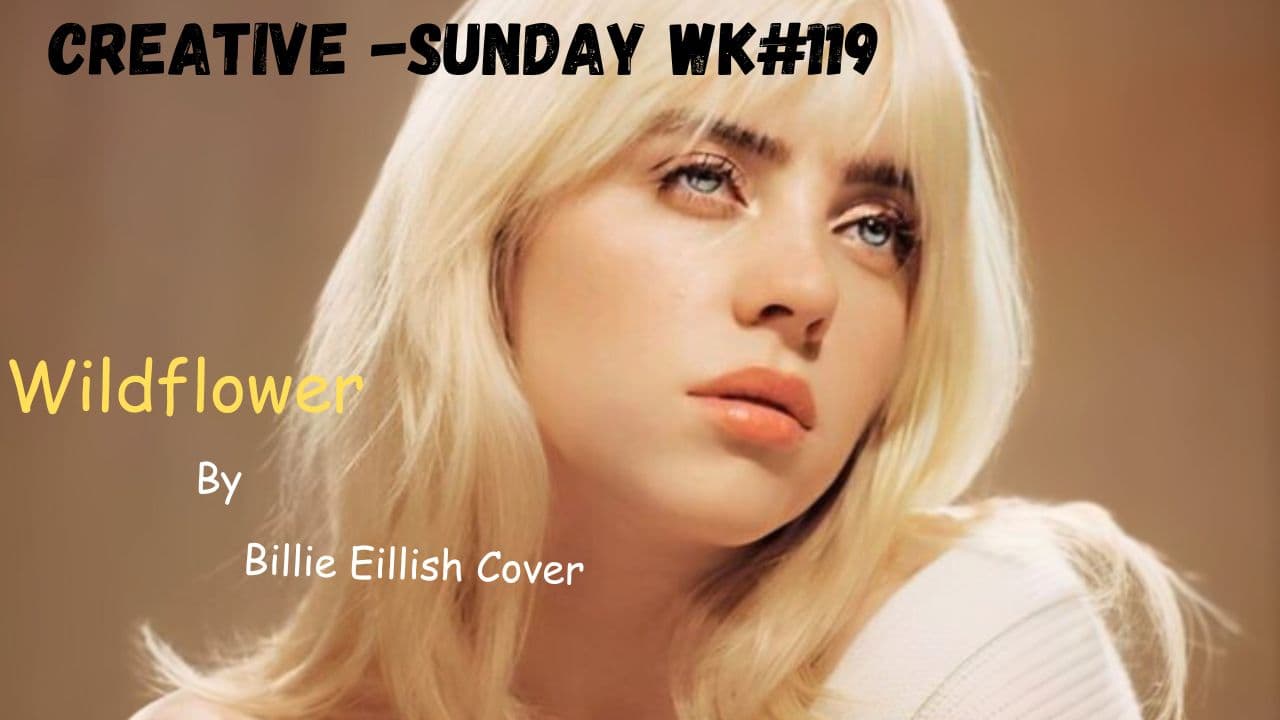 Creative -Sunday wk#119 || Wildflower by Billie Eillish Cover — meyateingi 3Speak Podcast cover