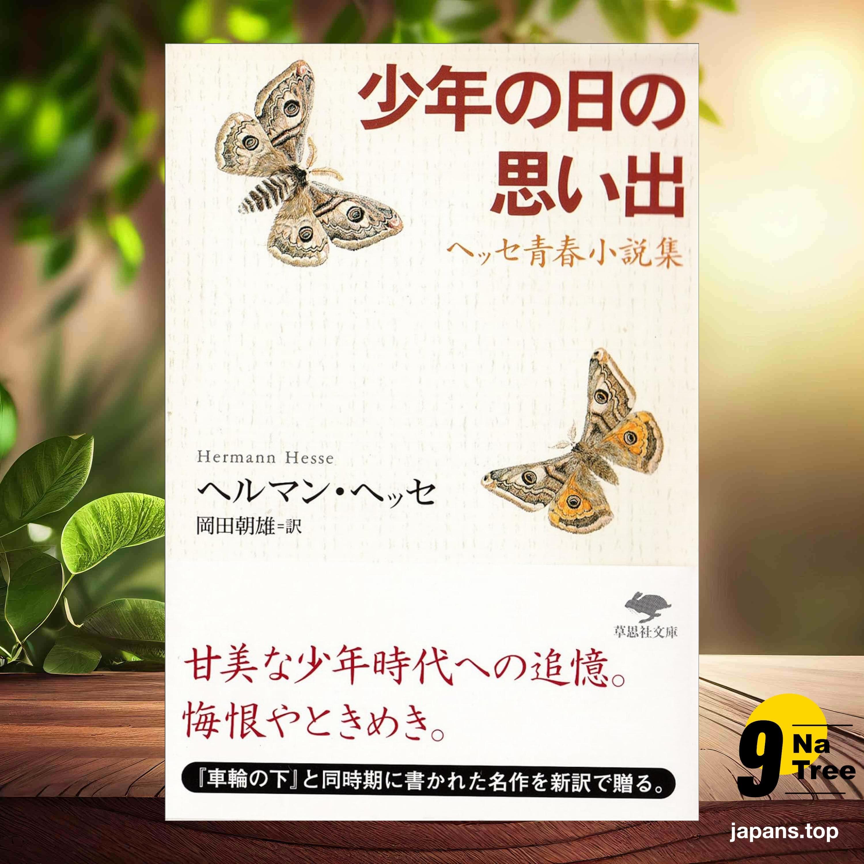 [レビュー] 文庫 少年の日の思い出  (ヘルマン ヘッセ) 要約した. - 9Natree Japanese cover