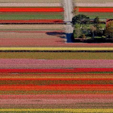 Az egész táj üres, halott - TNT @index.hu cover