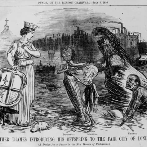 Dögletes nyavalya ütötte ki magát az országban, 240 ezer halott - TNT @index.hu cover