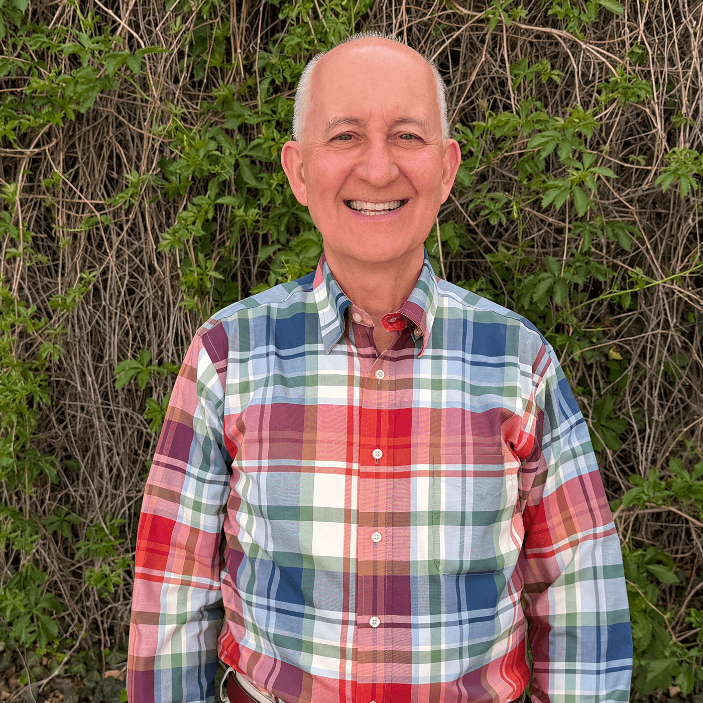 Ted House - Politically Speaking cover