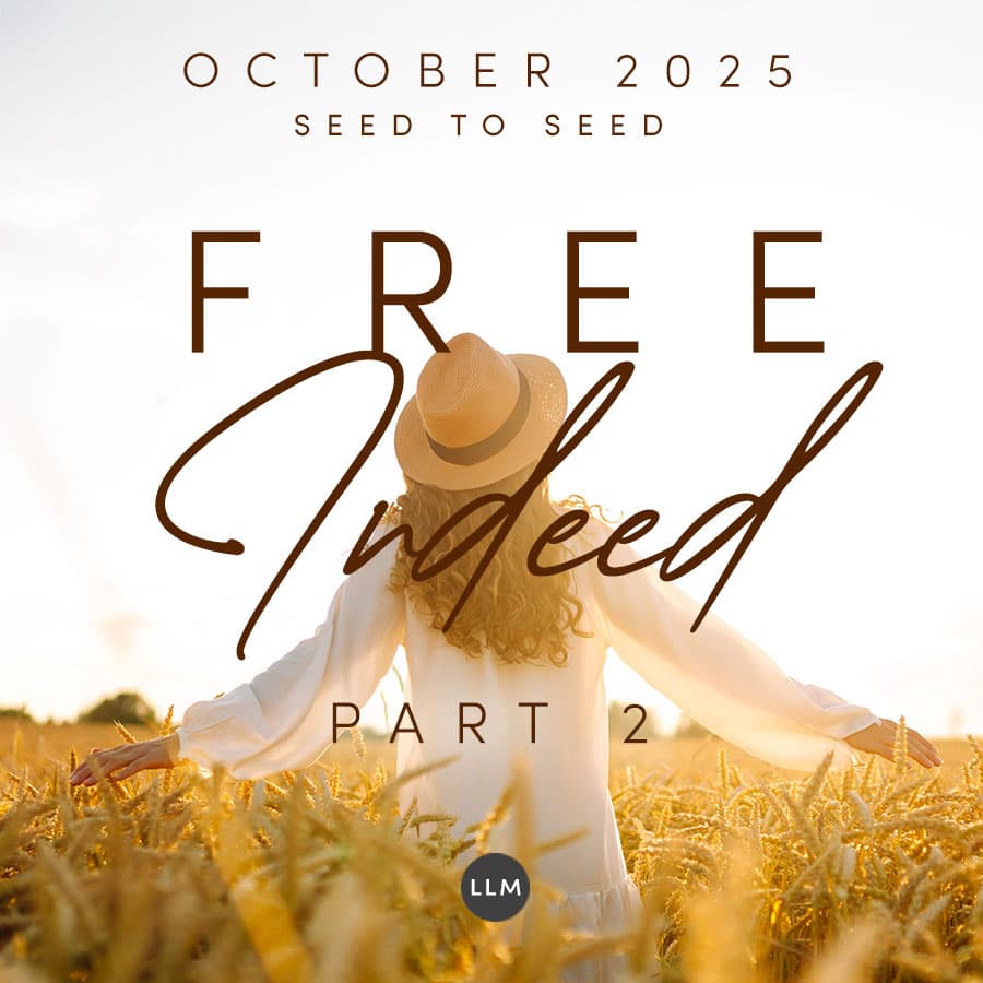 Free Indeed: Part 2 | Seed to Seed October 2025 - Seed to Seed with John and Beverley Sheasby cover