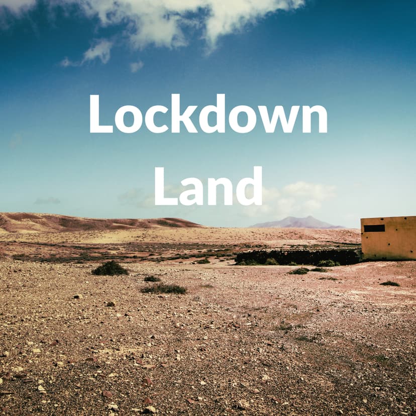 Lockdown Land cover