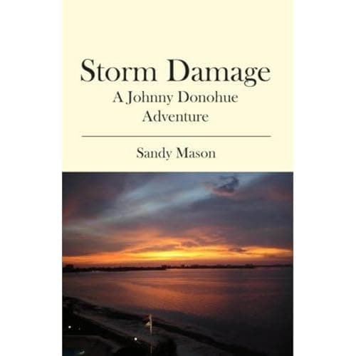 Storm Damage by Sandy Mason - Embrace The Full Audiobook Everyone Is Talking About — So Uplifting! cover