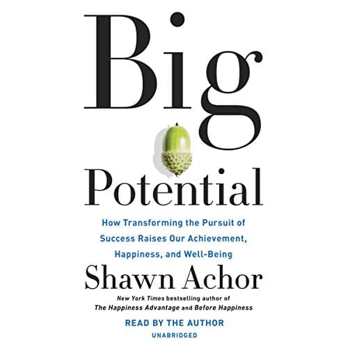 Big Potential by Shawn Achor | Free Audiobook - Get Full Audiobook in Business, Leadership cover