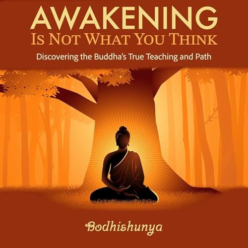 Awakening Is Not What You Think by Bodhishunya . - Feel: This Ground-Breaking Full Audiobook For Story Seekers. cover