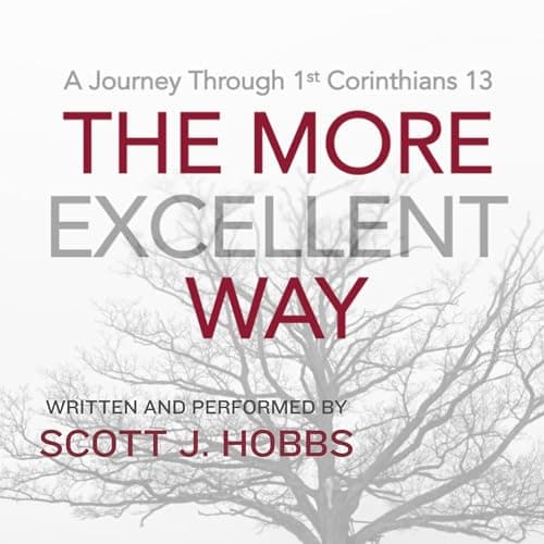 The More Excellent Way by Scott Hobbs - Enjoy Your Day With A Addictive Full Audiobook. cover