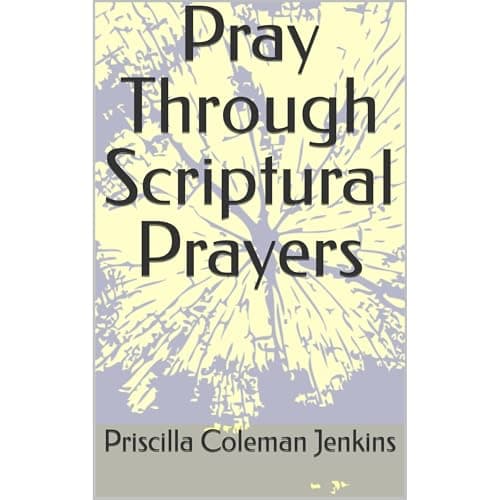 Pray Through Scriptural Prayers by Priscilla Coleman Jenkins - Explore This Thrilling Full Audiobook And Feel The Difference. cover