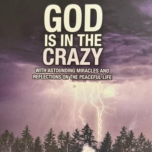 God Is in the Crazy by Dr. Chet Weld - Enjoy Your Day With A Addictive Full Audiobook. cover