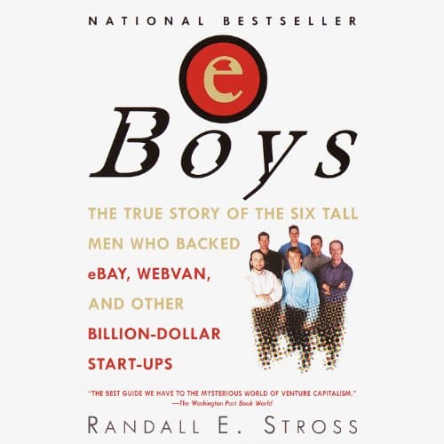 eBoys by Randall E. Stross - Get Lost In This Heart-Pounding Full Audiobook — Perfect Between Meetings. cover