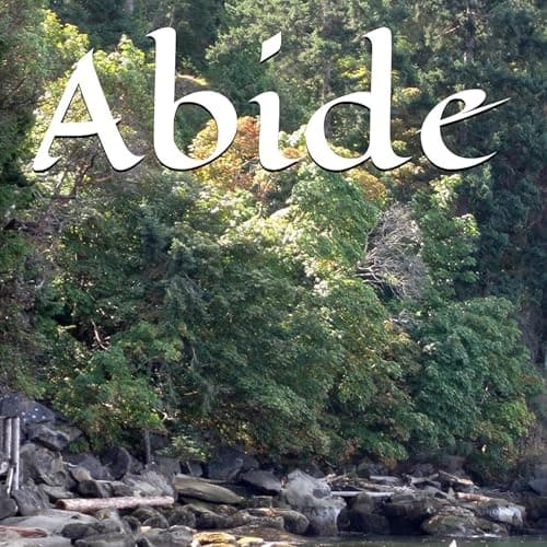 Abide by Donna M. Young - Feel The Full Audiobook Everyone Is Talking About — So Soul-Stirring! cover