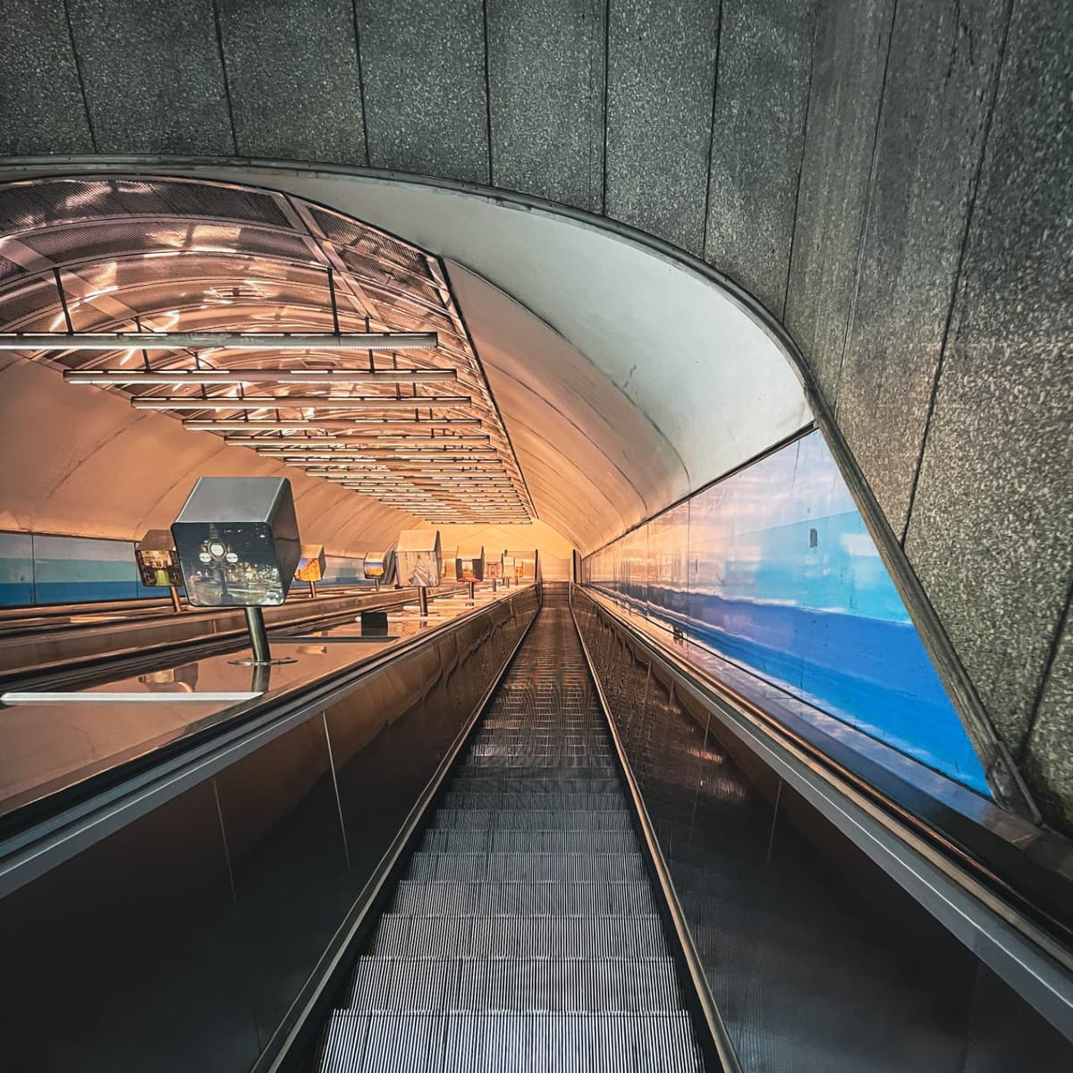 MFSA114: The Present Future Dynamic - Music For Small Audiences cover