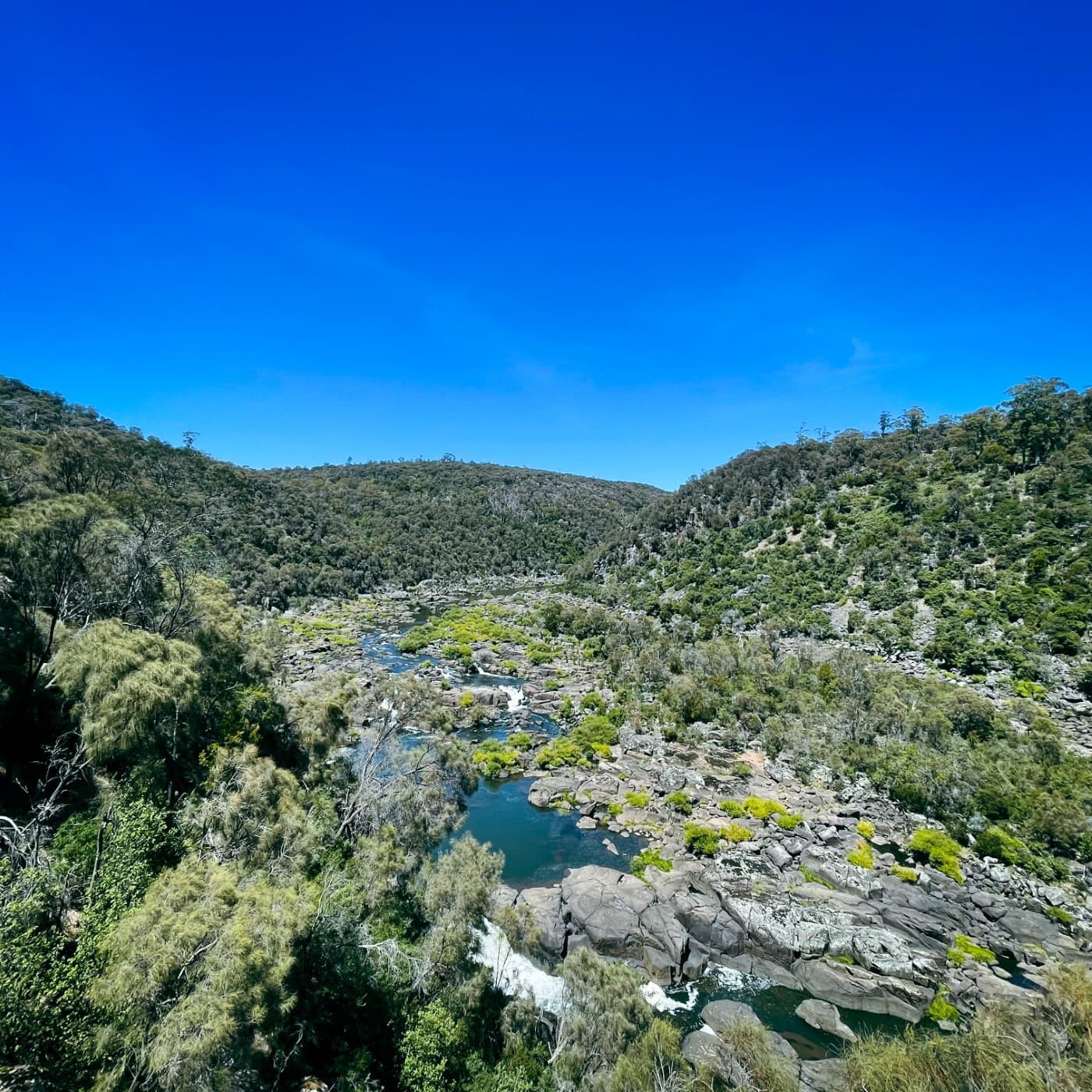 MFSA115: A Thought Indoors - Music For Small Audiences cover