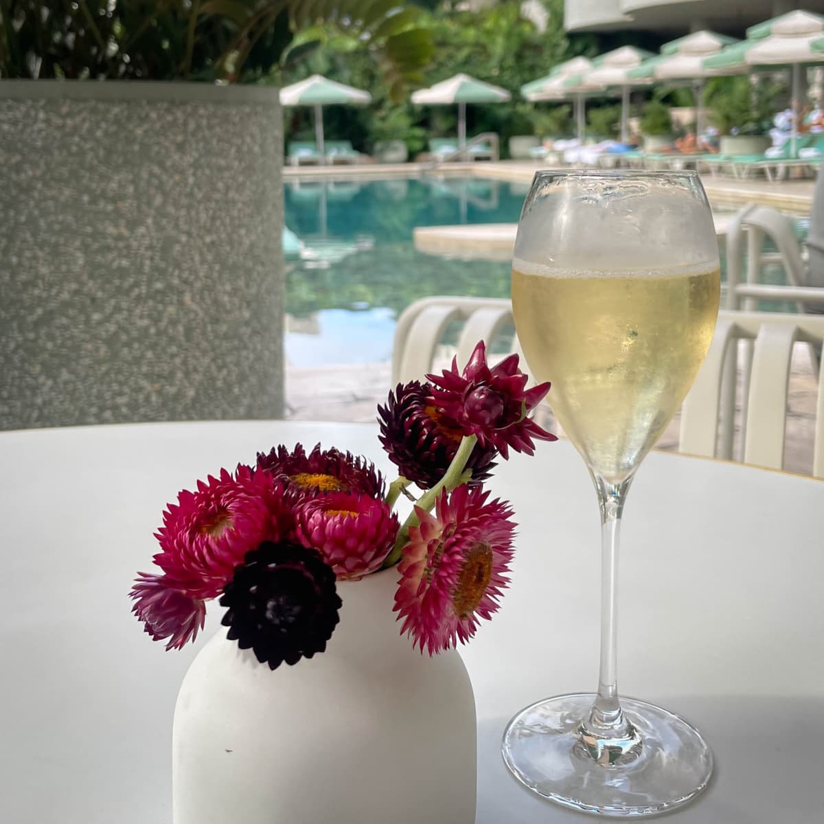 MFSA117: We Still Here - Music For Small Audiences cover