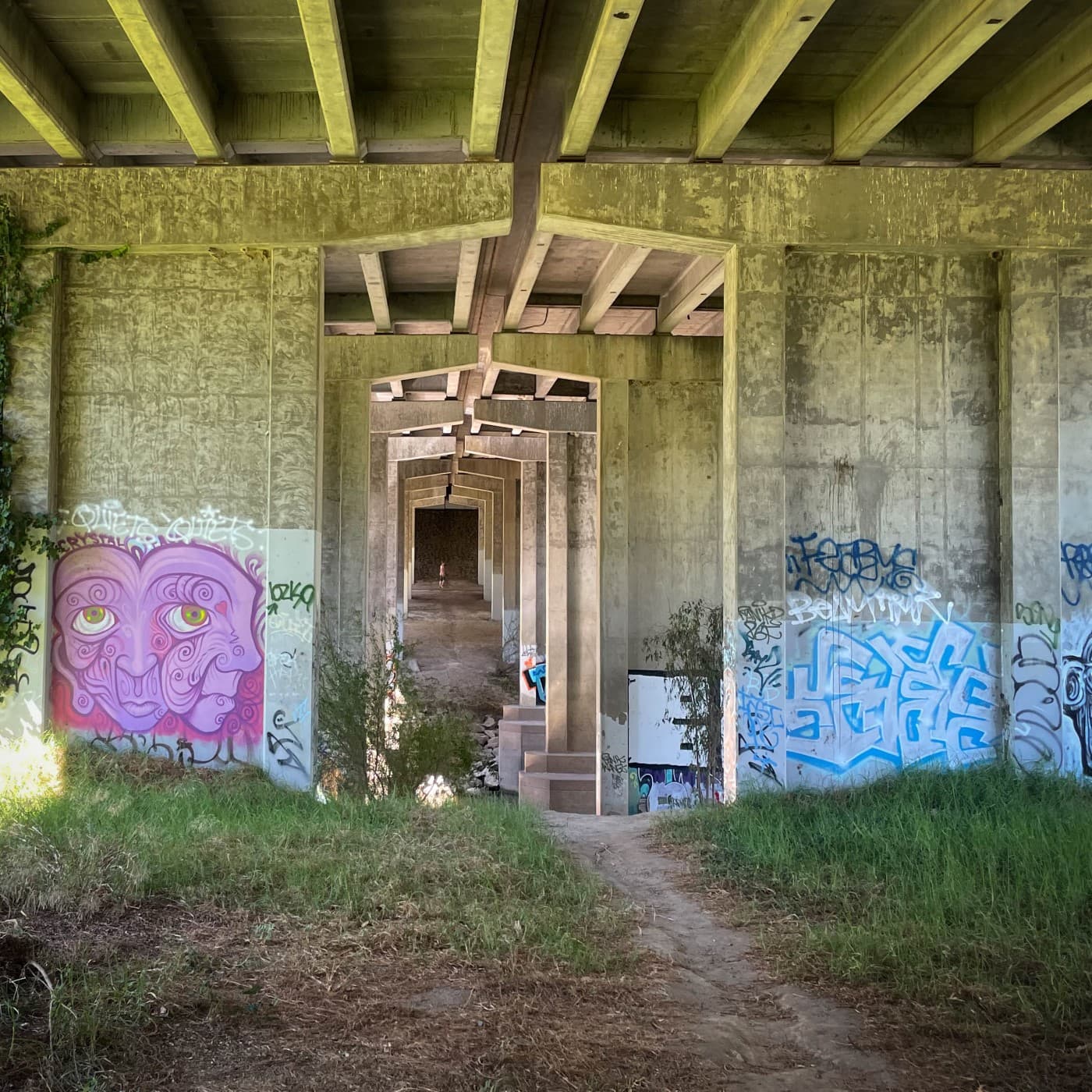 MFSA120: Put It In Gear - Music For Small Audiences cover