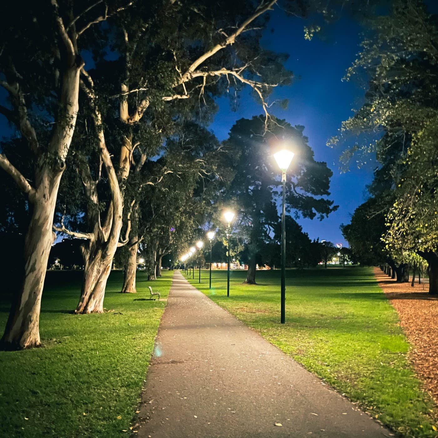 MFSA121: Incrementalism - Music For Small Audiences cover