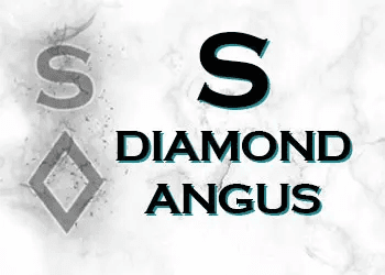 Kim Siebert of S Diamond Angus - Cattleman’s Corner Radio cover