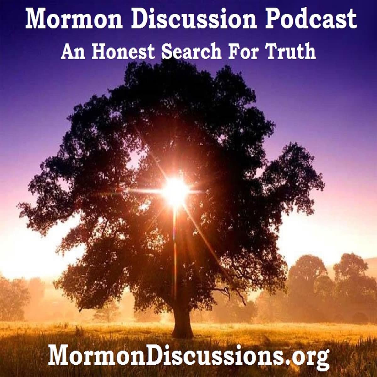 076: Matt Fradd: Catholic Apoligist - Mormon Discussion Podcast cover