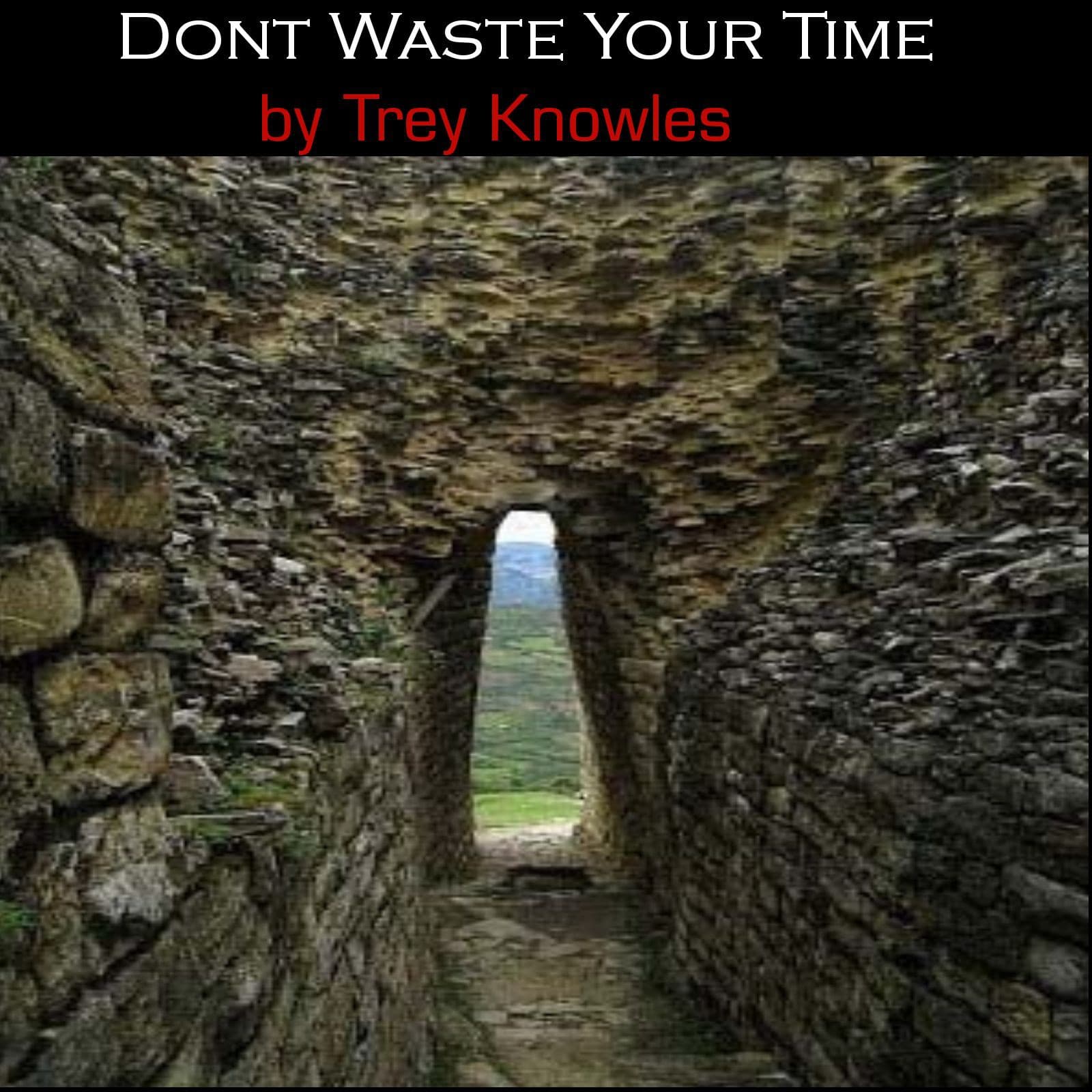 Trey Knowles - Dont Waste Your Time — Trey Knowles Music cover