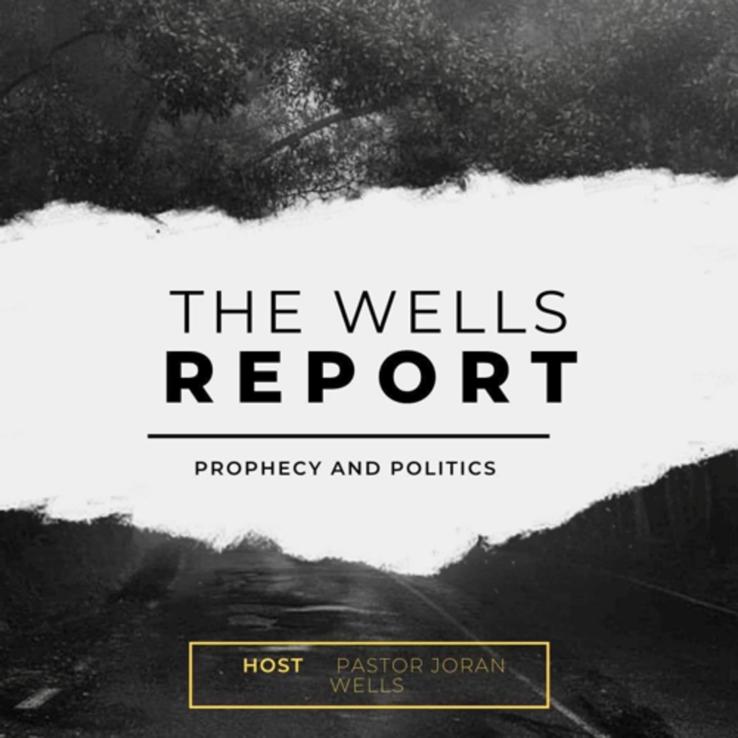 The Wells Report cover