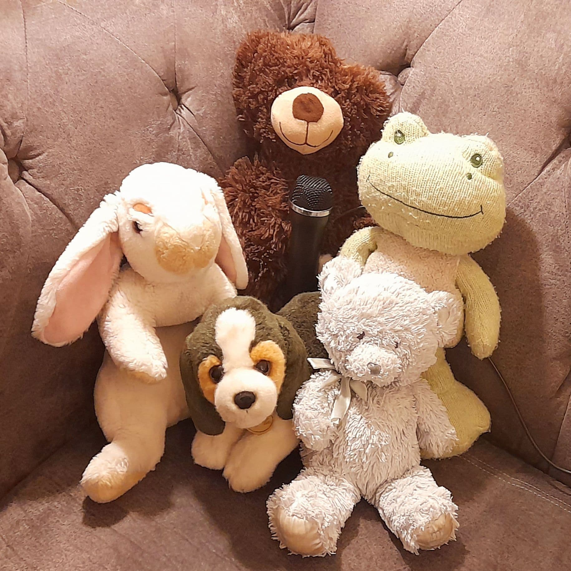 The Brown Bear and Bob the Frog Podcast cover