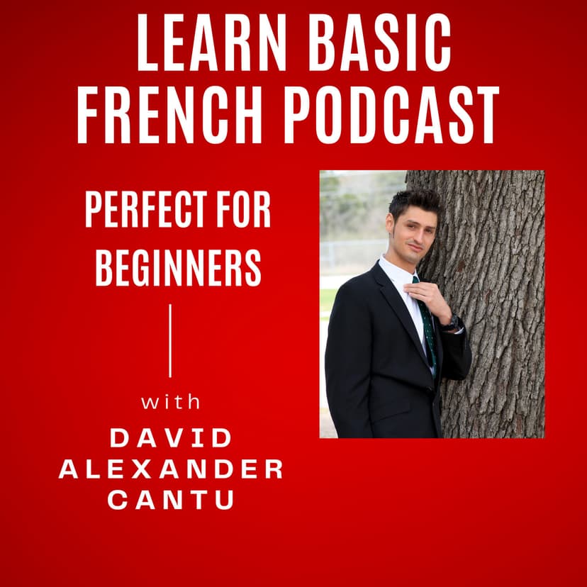 Learn Basic French Podcast cover