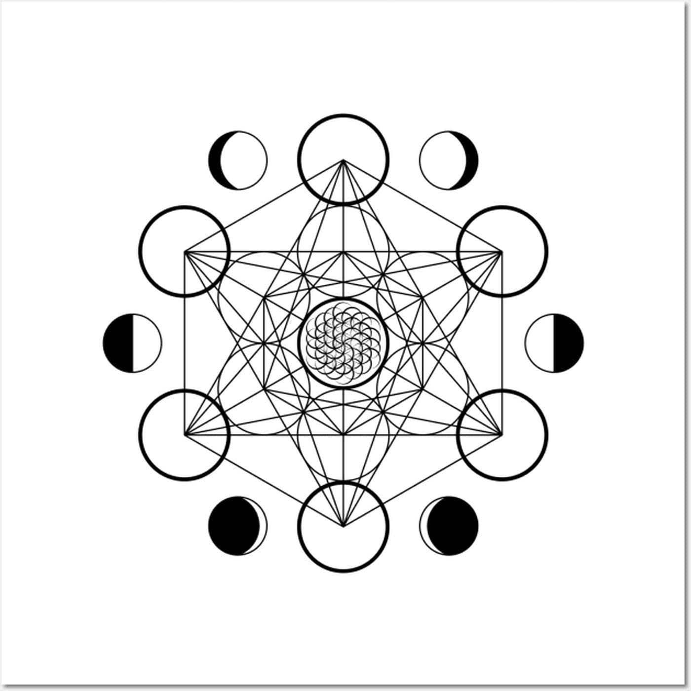 {The Audio Files} cover