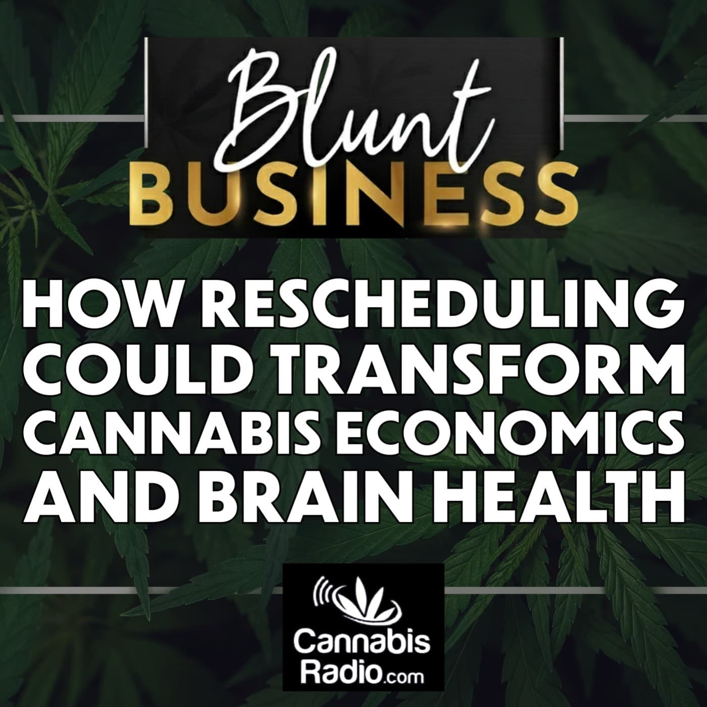 How Rescheduling Could Transform Cannabis Economics and Brain Health - Blunt Business cover